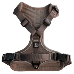 Ollipet For Wagging Tails | Airflex hundesele