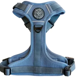 Ollipet For Wagging Tails | Airflex hundesele