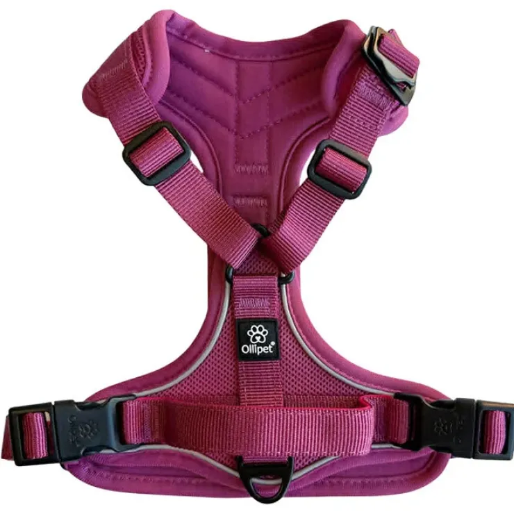 Ollipet For Wagging Tails | Airflex hundesele