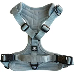 Ollipet For Wagging Tails | Airflex hundesele