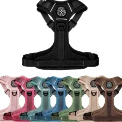 Ollipet For Wagging Tails | Airflex hundesele