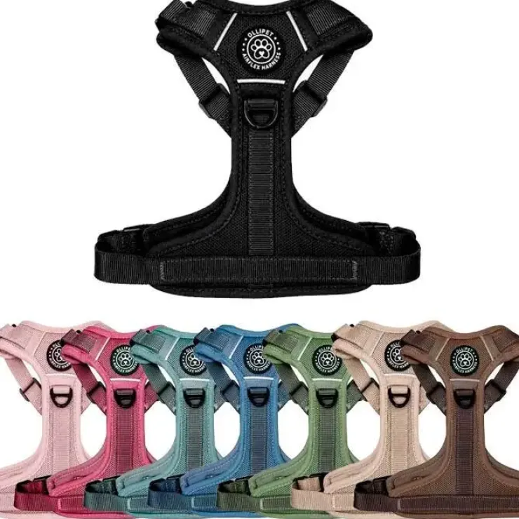 Ollipet For Wagging Tails | Airflex hundesele