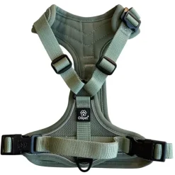 Ollipet For Wagging Tails | Airflex hundesele