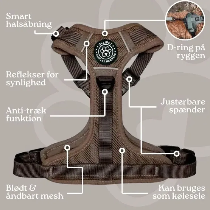 Ollipet For Wagging Tails | Airflex hundesele