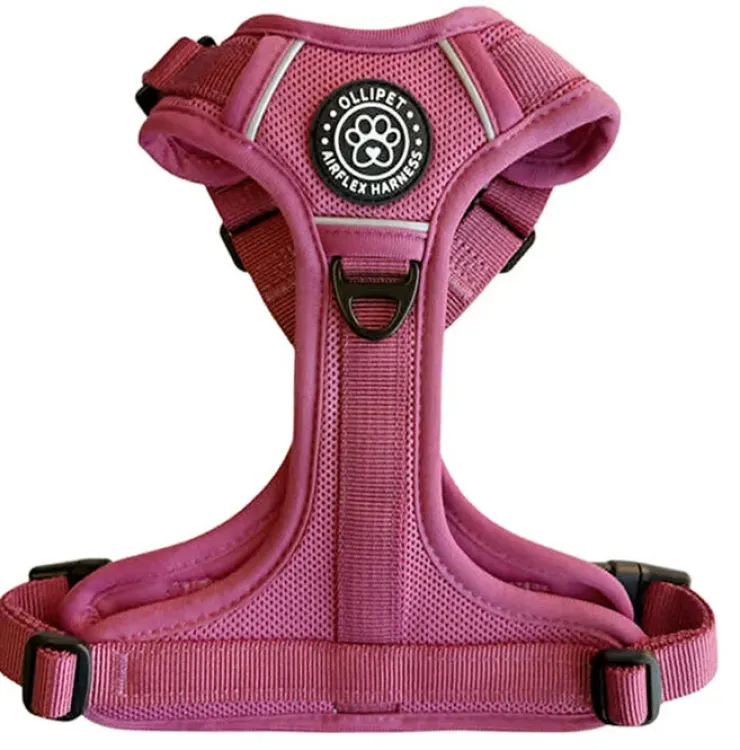 Ollipet For Wagging Tails | Airflex hundesele