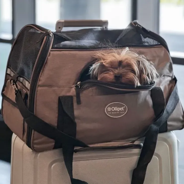 Ollipet For Wagging Tails | Barcelona Rejsetaske/Flytaske