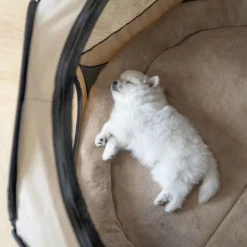 Ollipet For Wagging Tails | foldbar Hvalpegård