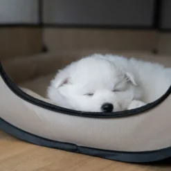 Ollipet For Wagging Tails | foldbar Hvalpegård