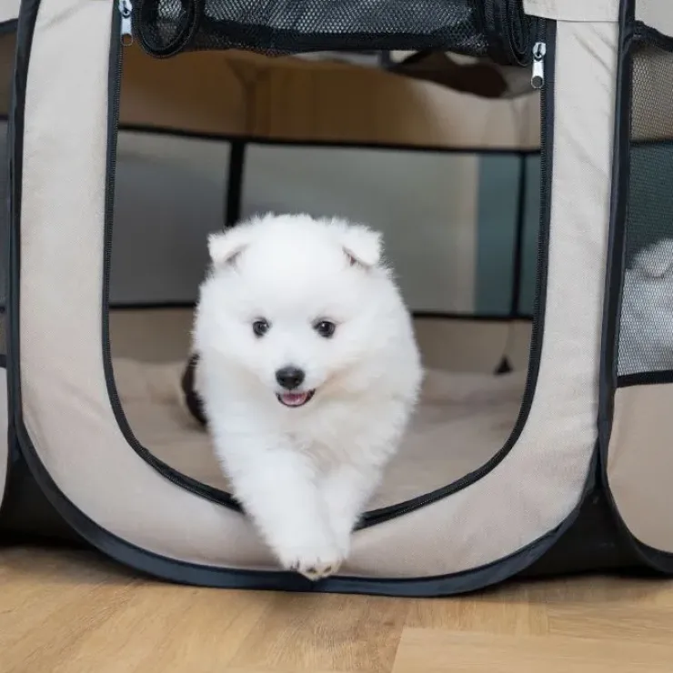 Ollipet For Wagging Tails | foldbar Hvalpegård