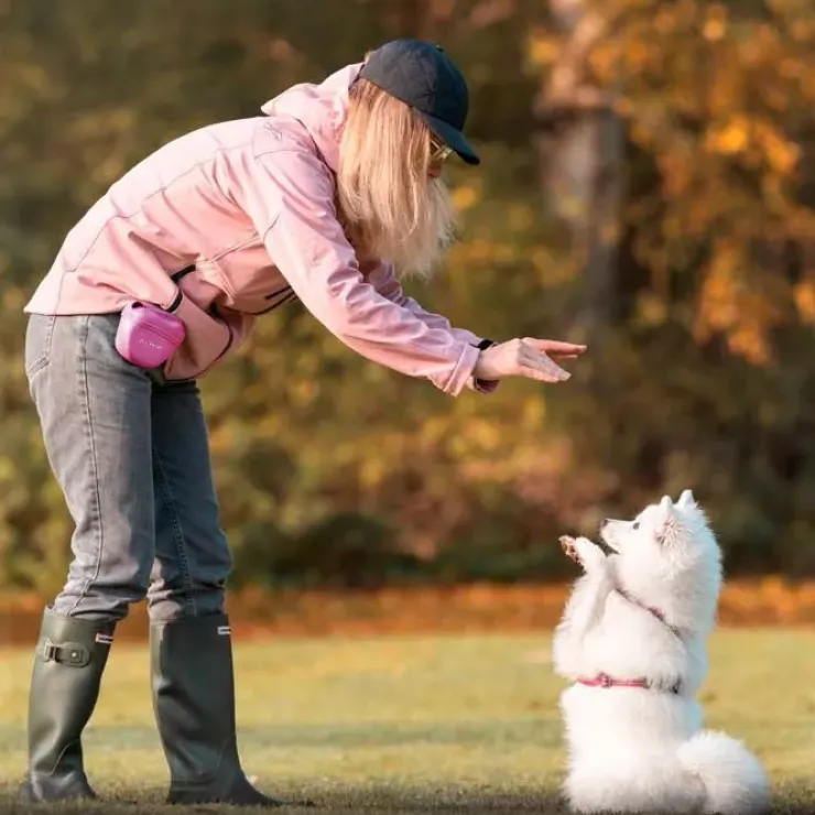 Ollipet For Wagging Tails | Godbidstaske m. Magnetluk