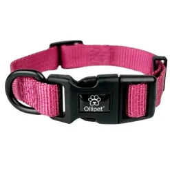 Ollipet For Wagging Tails | Halsbånd