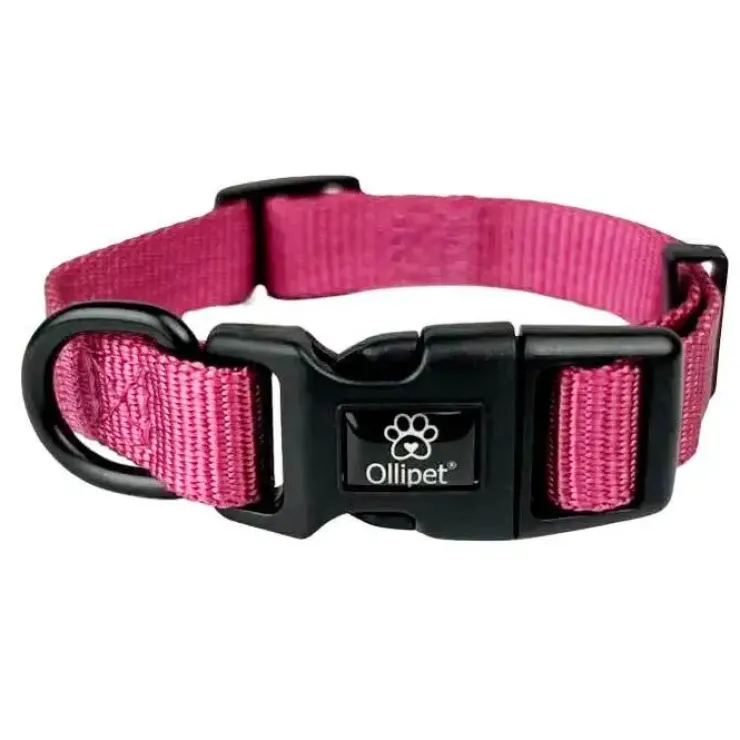 Ollipet For Wagging Tails | Halsbånd