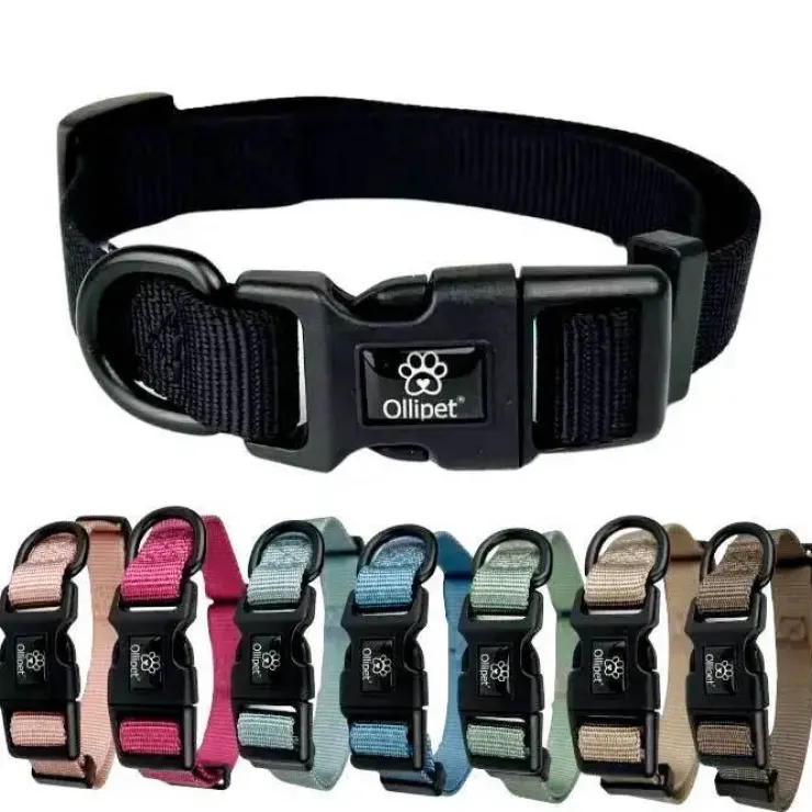 Ollipet For Wagging Tails | Halsbånd