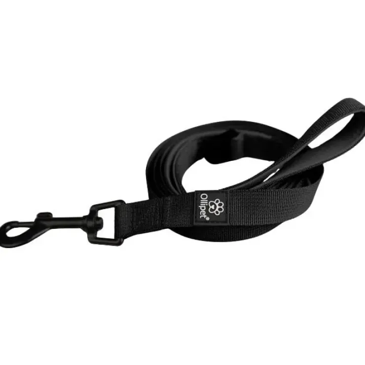 Ollipet For Wagging Tails | Hundesnor