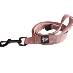 Ollipet For Wagging Tails | Hundesnor