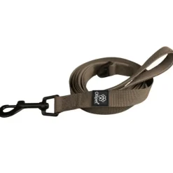 Ollipet For Wagging Tails | Hundesnor