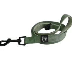 Ollipet For Wagging Tails | Hundesnor