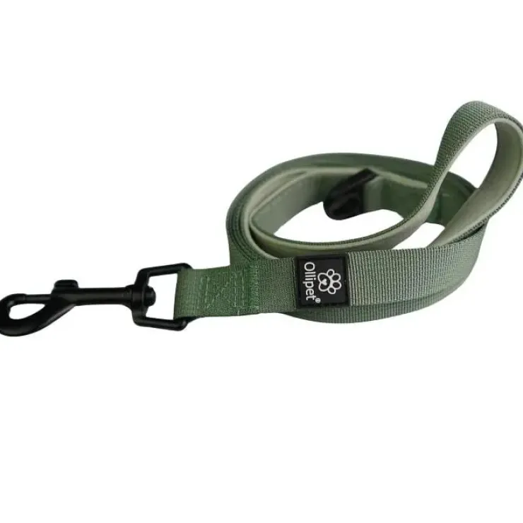 Ollipet For Wagging Tails | Hundesnor