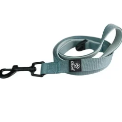 Ollipet For Wagging Tails | Hundesnor