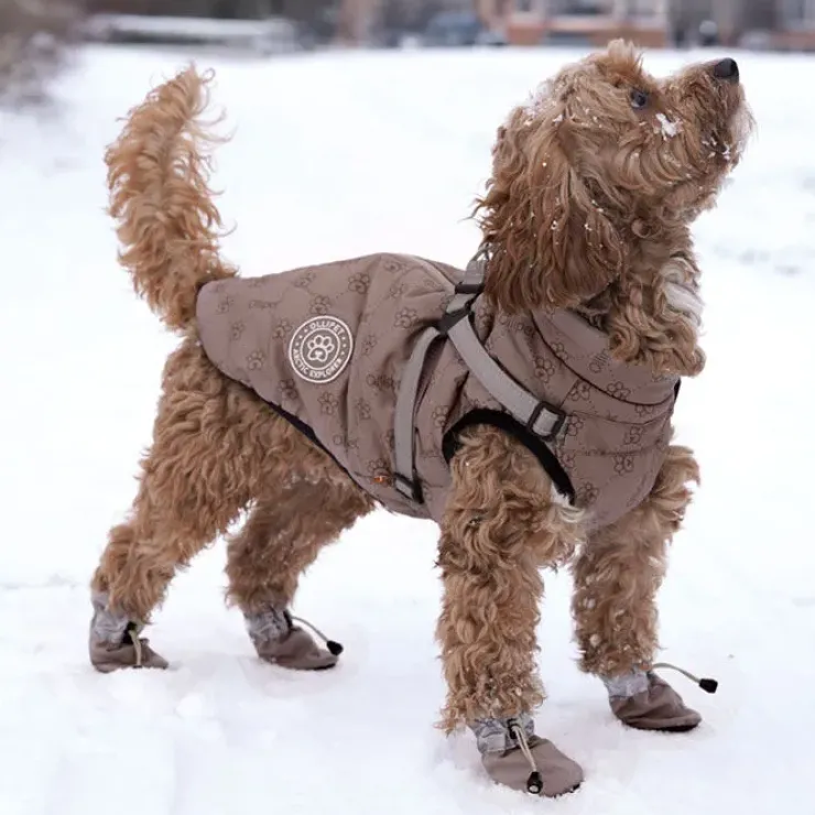 Ollipet For Wagging Tails | Refleks hundestøvler