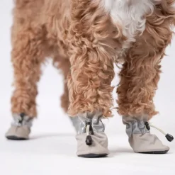 Ollipet For Wagging Tails | Refleks hundestøvler