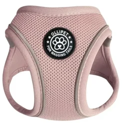 Ollipet For Wagging Tails | Step in Sele