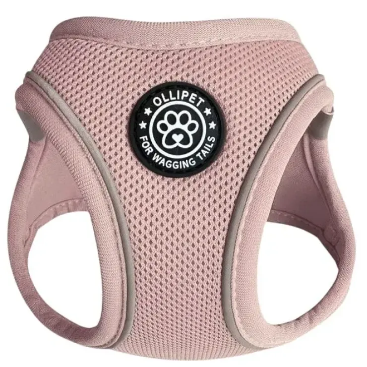 Ollipet For Wagging Tails | Step in Sele