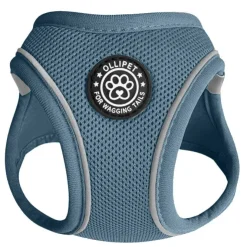 Ollipet For Wagging Tails | Step in Sele