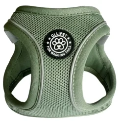 Ollipet For Wagging Tails | Step in Sele