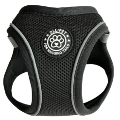 Ollipet For Wagging Tails | Step in Sele