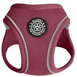 Ollipet For Wagging Tails | Step in Sele