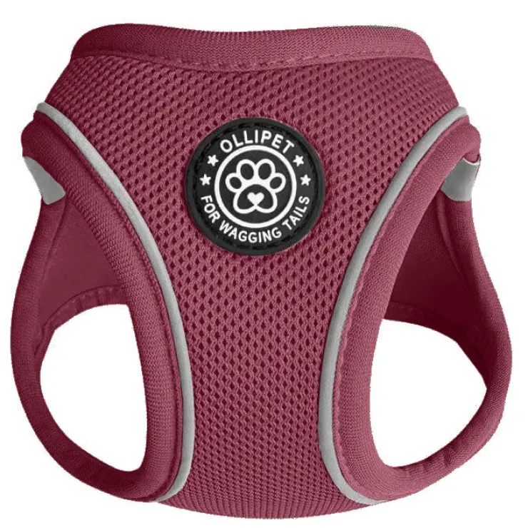 Ollipet For Wagging Tails | Step in Sele
