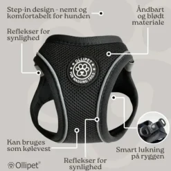 Ollipet For Wagging Tails | Step in Sele