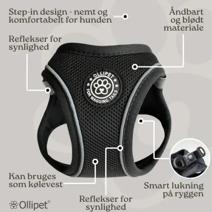 Ollipet For Wagging Tails | Step in Sele