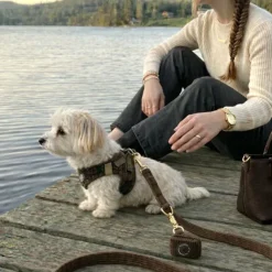 Ollipet For Wagging Tails | Velluto step-in sele