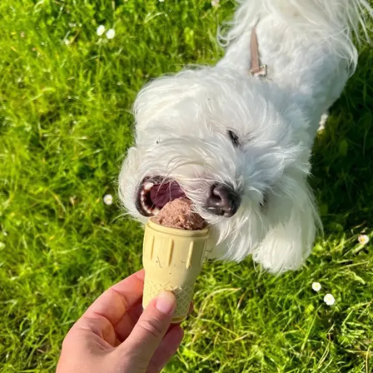 Ollipet FrostSnack Isform | Lav en hundeis
