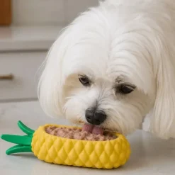 Ollipet Frostsnack | Pineapple