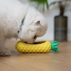 Ollipet Frostsnack | Pineapple