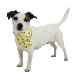 Ollipet Frugt Bandana | OUTLET