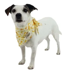 Ollipet Frugt Bandana | OUTLET