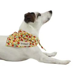 Ollipet Frugt Bandana | OUTLET