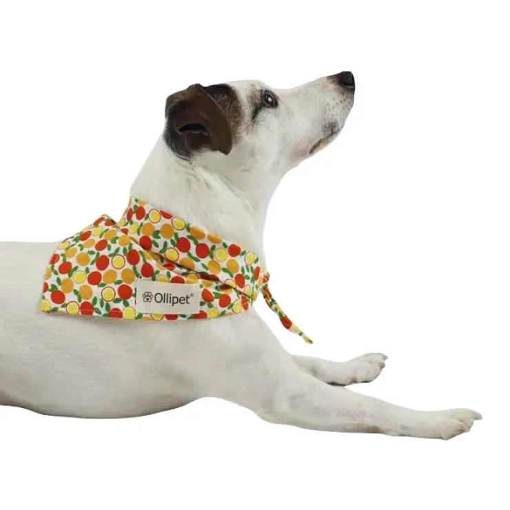 Ollipet Frugt Bandana | OUTLET