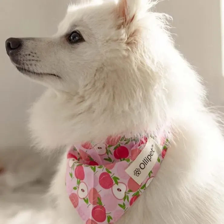 Ollipet Frugt Bandana | OUTLET
