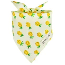 Ollipet Frugt Bandana | OUTLET