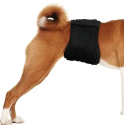 Ollipet GentlemanWrap