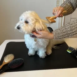 Ollipet Groomingmåtte