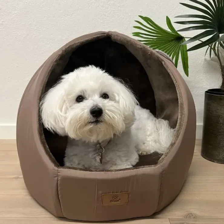 Ollipet Halo Hyggehule