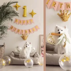 Ollipet Happy Birthday Party Pakke | OUTLET