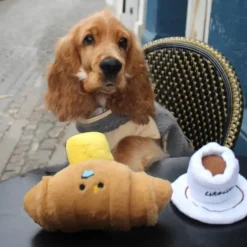 Ollipet Hide-a-Treat | Coffee cup