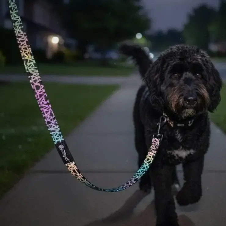 Ollipet High Tech Refleks Hundesnor